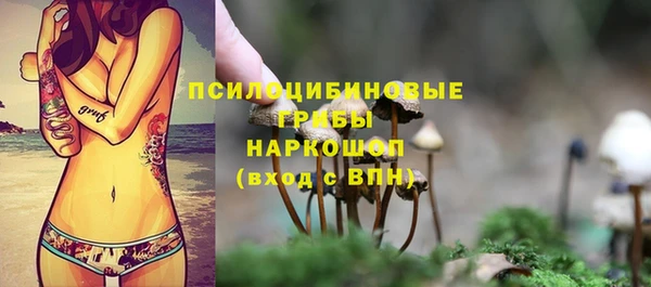 герыч Дмитриев