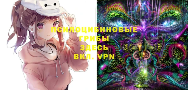 герыч Дмитриев
