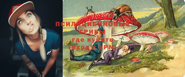 герыч Дмитриев