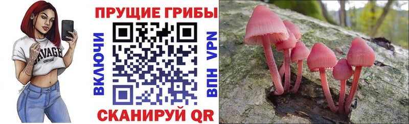 Галлюциногенные грибы ЛСД  Сызрань 